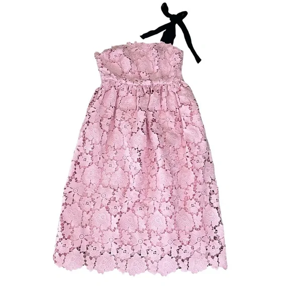 Anthropologie Maeve Women's One Shoulder Tie Pink Lace Strapless Midi Dress  Sz 6